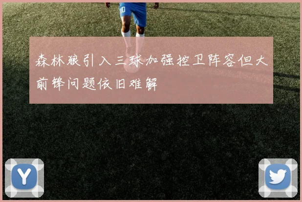 森林狼引入三球加强控卫阵容但大前锋问题依旧难解